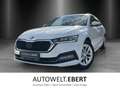 Skoda Octavia Combi 2.0 TDI DSG Style/AHK/HUD/ACC/LED/ Blanc - thumbnail 1