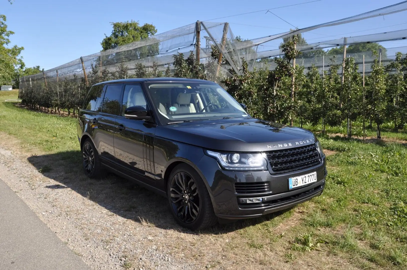 Land Rover Range Rover Vogue Grau - 1