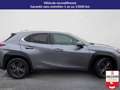 Lexus UX 250h 250h 4wd le Blanc - thumbnail 4