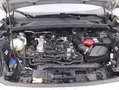 Ford Puma Titanium 1.0 Mild Hybrid 125CV Grey - thumbnail 13