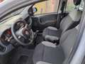 Fiat Panda Panda 1.0 firefly hybrid s&s Grigio - thumbnail 8