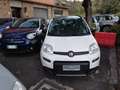 Fiat Panda Panda 1.0 firefly hybrid s&s Grigio - thumbnail 15