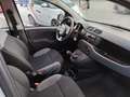Fiat Panda Panda 1.0 firefly hybrid s&s Grigio - thumbnail 7