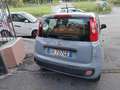 Fiat Panda Panda 1.0 firefly hybrid s&s Grigio - thumbnail 5