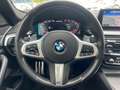 BMW M550 d xDrive Tour. AHK/NighVis 2 JAHRE GARANTIE Grijs - thumbnail 21