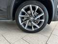 Skoda Kodiaq Sportline 4x4 2.0 TSI DSG Navi Matrix DCC Schwarz - thumbnail 22