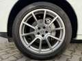Porsche Macan S PANORAMA/AHK/LEDER/ACC/PCM/LM20/2.HD/MEM Blanco - thumbnail 9