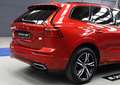 Volvo XC60 T6 Recharge R-Design Rouge - thumbnail 9