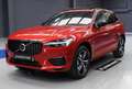 Volvo XC60 T6 Recharge R-Design Rouge - thumbnail 5