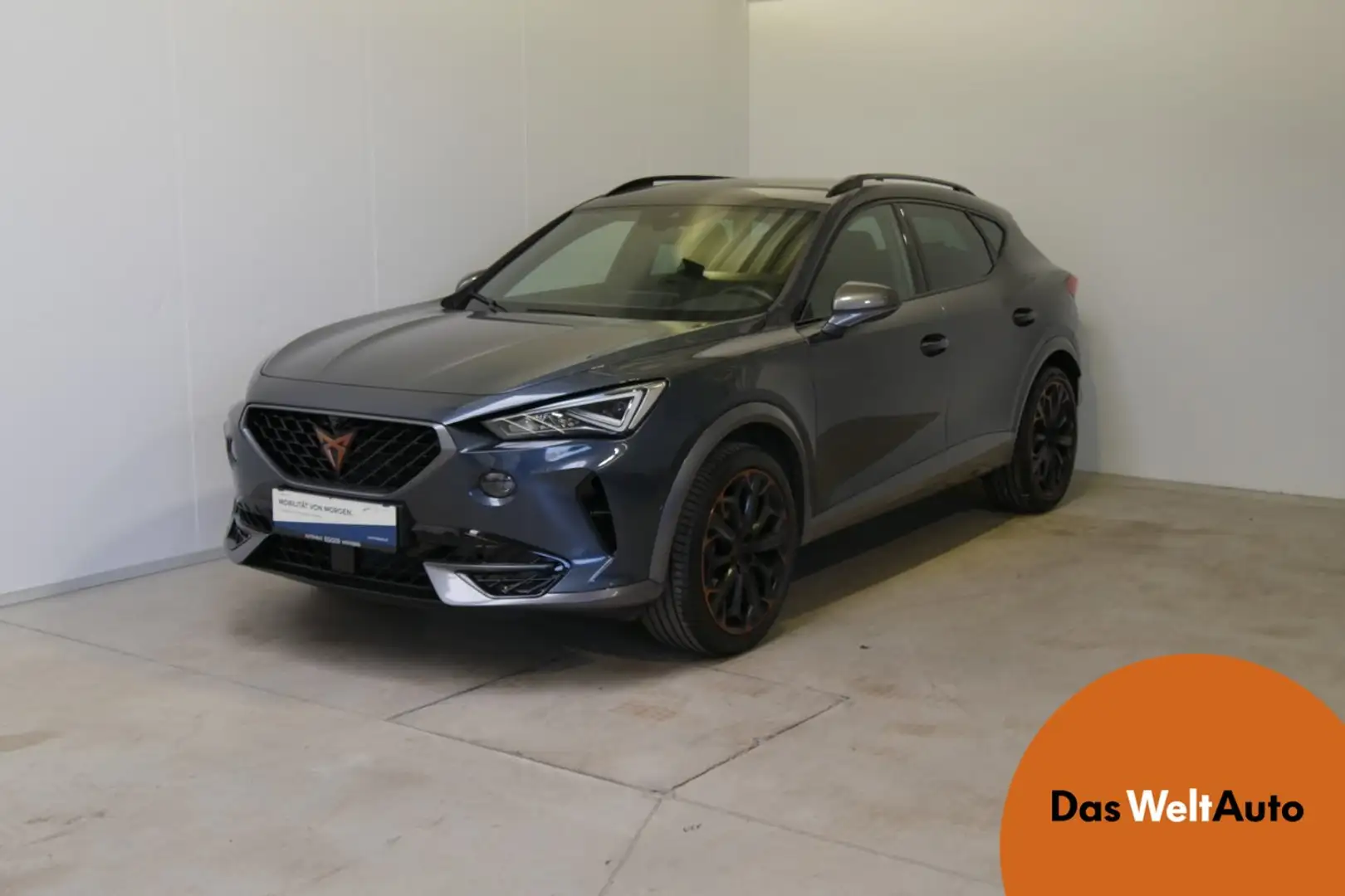 CUPRA Formentor 1.5 TSI 150 PS DSG ACT Grau - 1