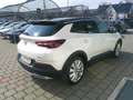 Opel Grandland X 1,6 Turbo PHEV Innovation Weiß - thumbnail 8