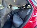 Ford Puma 3 TAGLIANDI INCLUSI - Puma 1.0 ecoboost Titanium s Rosso - thumbnail 8