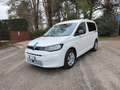 Volkswagen Caddy 1.5 TSI DSG F-Style Trasporto Disabile km 2.400 Weiß - thumbnail 1