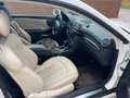 Mercedes-Benz CLK 350 ACHTUNG !  Angebot nur heute !!! - thumbnail 1