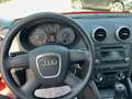 Audi A3 SB Quattro Attraction 2,0 TDI DPF,4x4, TOP Zustand Rouge - thumbnail 8