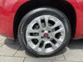 Fiat Panda 0.9 TwinAir ROSSO Lounge - Panorama dak I Airco I Rouge - thumbnail 17