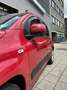 Fiat Panda 0.9 TwinAir ROSSO Lounge - Panorama dak I Airco I Rouge - thumbnail 18