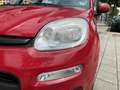 Fiat Panda 0.9 TwinAir ROSSO Lounge - Panorama dak I Airco I Rouge - thumbnail 15