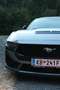 Ford Mustang 5,0 Ti-VCT V8 GT Aut. Weiß - thumbnail 2