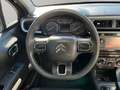 Citroen C3 VAN 1.5 100CV 2POSTI Nero - thumbnail 11