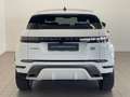 Land Rover Range Rover Evoque 2ª serie 2.0D I4 163 CV AWD Auto R-D.SE Weiß - thumbnail 6