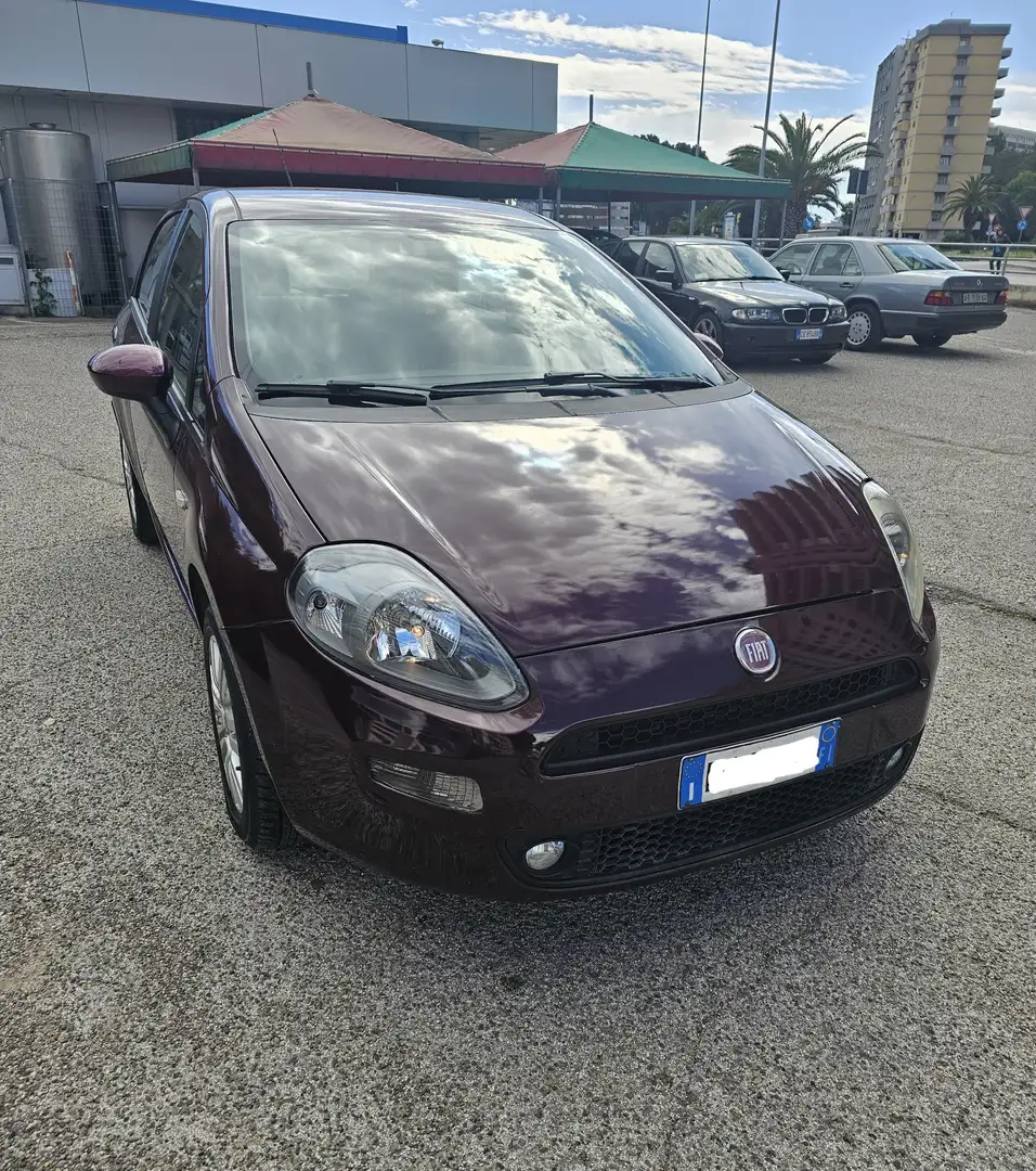 Fiat Punto 5p 1.2 Lounge Fioletowy - 1