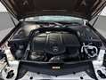 Mercedes-Benz E 220 Cabrio 220d 4Matic Rojo - thumbnail 19