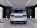 Audi Q5 35 TDI ADVANCED NAVI PDC LED SITZHZG Weiß - thumbnail 3