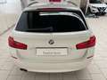 BMW 520 Touring Futura 520d c.auto-LEGGI SOTTO Wit - thumbnail 4