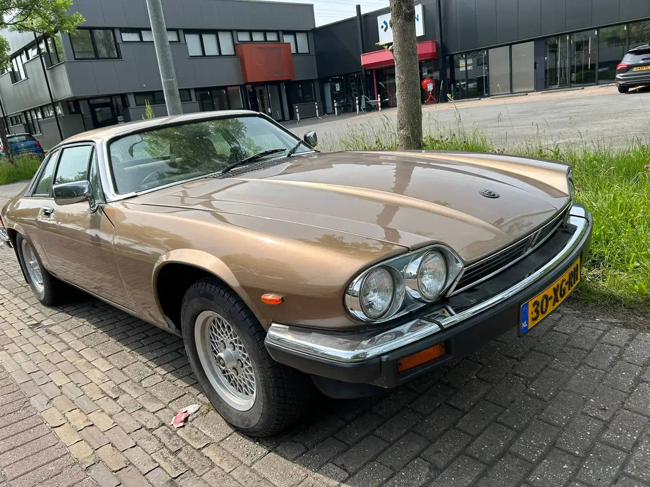 Jaguar XJS 3.6 Coupé, foto 3