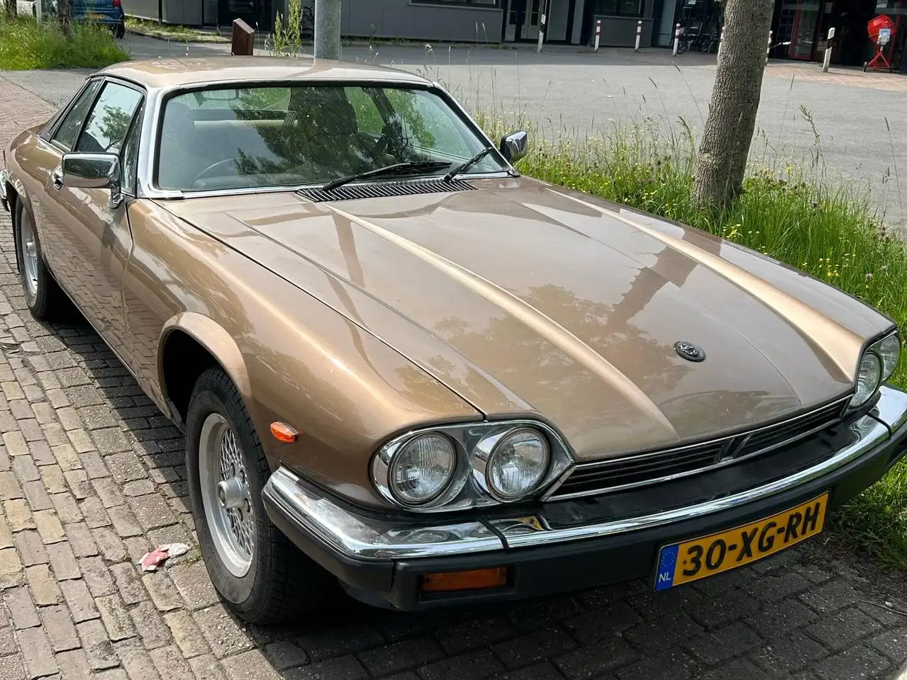 Jaguar XJS 3.6 Coupé, foto 2