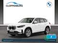 BMW iX1 xDrive30 SHZ+HiFi+Ambi+Sportf+BT+S/S-AT+ZV Weiß - thumbnail 1