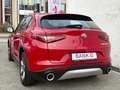 Alfa Romeo Stelvio Stelvio 2.0 Turbo 16V AT8-Q4 Super Rosso - thumbnail 27