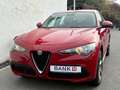 Alfa Romeo Stelvio Stelvio 2.0 Turbo 16V AT8-Q4 Super Rosso - thumbnail 12