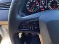 SEAT Ibiza 1.0 TGI 66kW (90CV) 2 PLAZAS PROFESIONAL Bianco - thumbnail 13