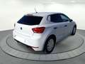 SEAT Ibiza 1.0 TGI 66kW (90CV) 2 PLAZAS PROFESIONAL Bianco - thumbnail 4