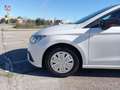 SEAT Ibiza 1.0 TGI 66kW (90CV) 2 PLAZAS PROFESIONAL Bianco - thumbnail 9