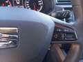 SEAT Ibiza 1.0 TGI 66kW (90CV) 2 PLAZAS PROFESIONAL Bianco - thumbnail 14
