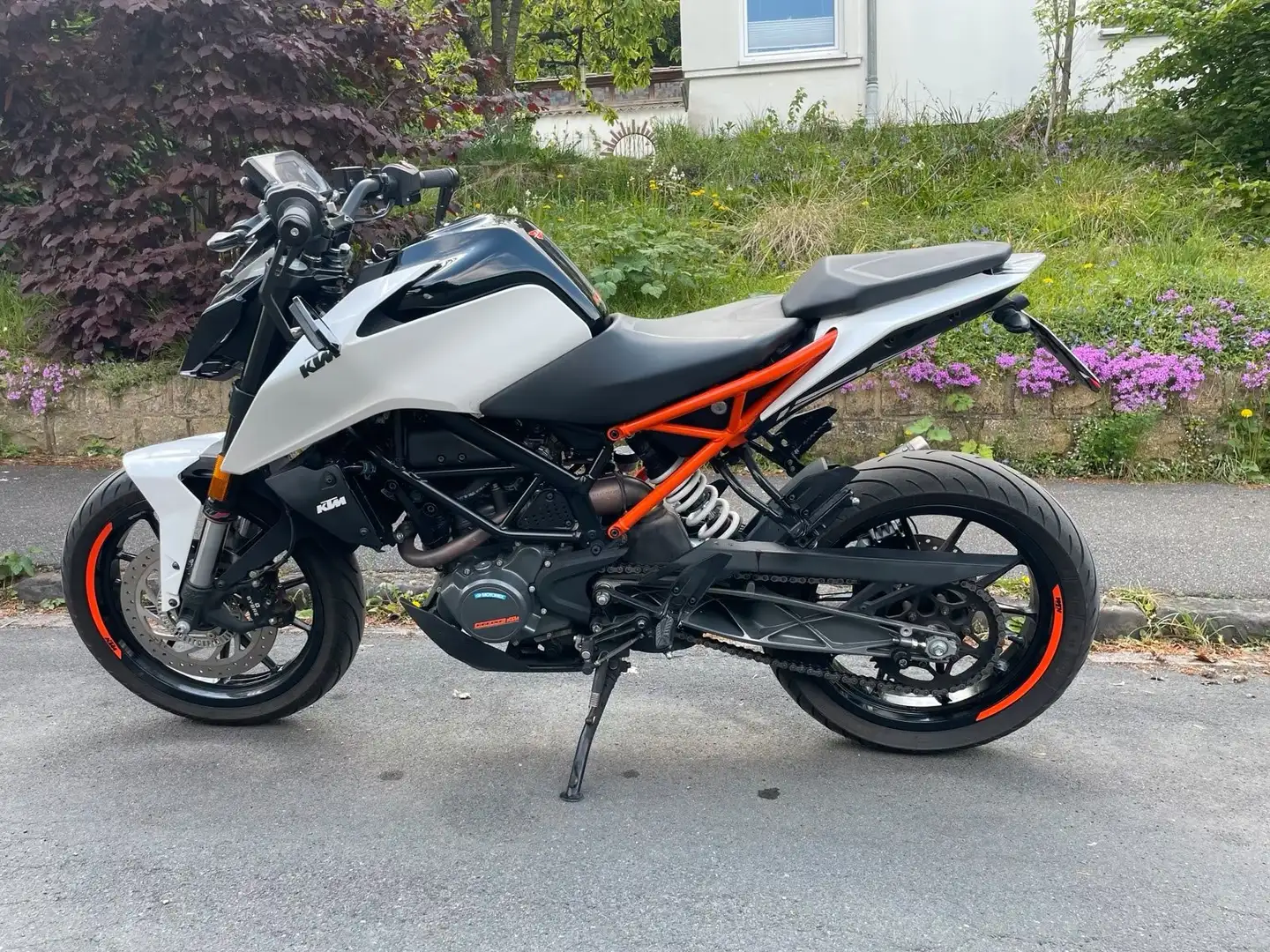 KTM 125 Duke Alb - 1