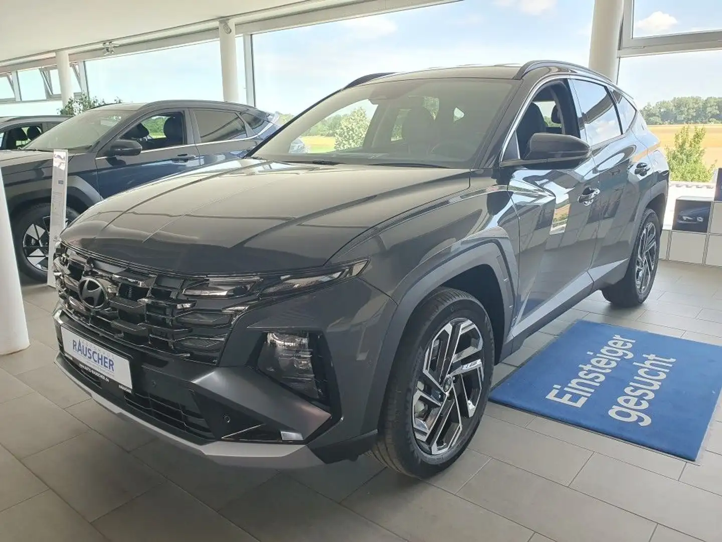 Hyundai TUCSON 1.6 T-GDi HEV 2WD Prime (NX4e) Grau - 1