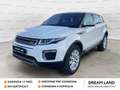 Land Rover Range Rover Evoque 2.0 TD4 150 CV 5p. SE Automatica UNICO PROP. Bianco - thumbnail 1