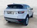 Land Rover Range Rover Evoque 2.0 TD4 150 CV 5p. SE Automatica UNICO PROP. Bianco - thumbnail 7