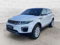 Land Rover Range Rover Evoque 2.0 TD4 150 CV 5p. SE Automatica UNICO PROP. Bianco - thumbnail 17