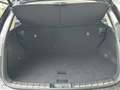 Lexus NX 450h+ NX450h+ 4x4 Business - Navi, PDC, Leder, TW, SZ Schwarz - thumbnail 16