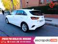 Kia 1.0 MHEV 88kW (120CV) Tech DCT Белый - thumbnail 4