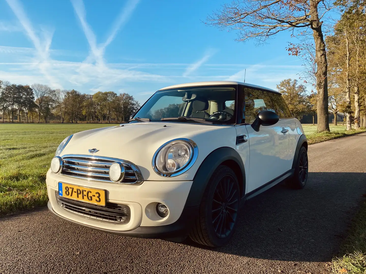 MINI One 1.6 MINIMAL. 100% NEDERLANDS Wit - 1