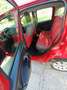 Fiat Panda Panda 1.2 Pop 69cv E6 Rosso - thumbnail 9