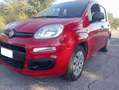 Fiat Panda Panda 1.2 Pop 69cv E6 Rosso - thumbnail 1