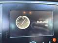 Renault Megane 1.3 TCe GPF Limited 103kW Gris - thumbnail 30