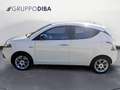 Lancia Ypsilon III 2015 Benzina 1.2 Gold s&s 69cv my19 Wit - thumbnail 7